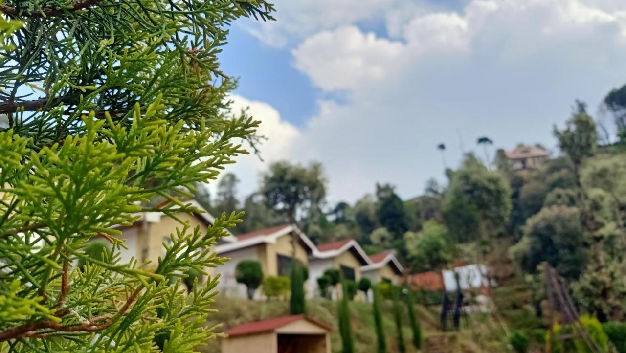 Skywood Resort Shoghi Shogi エクステリア 写真